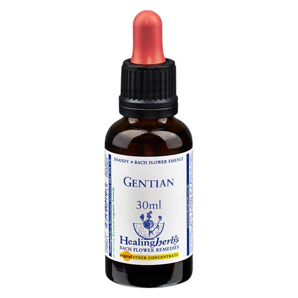 12 Gentian 30ml HealingHerbs