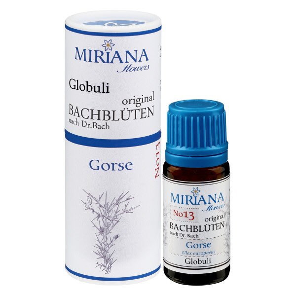 13 Gorse 10g Bach-Globuli MF-