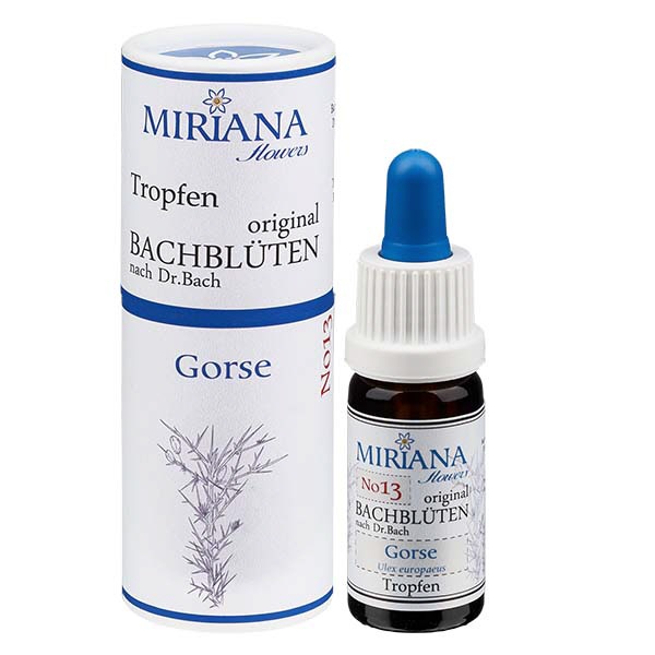 13 Gorse 10ml Stockbottle MF-