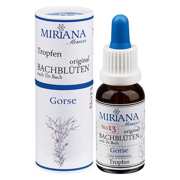 13 Gorse 20ml Stockbottle MF-