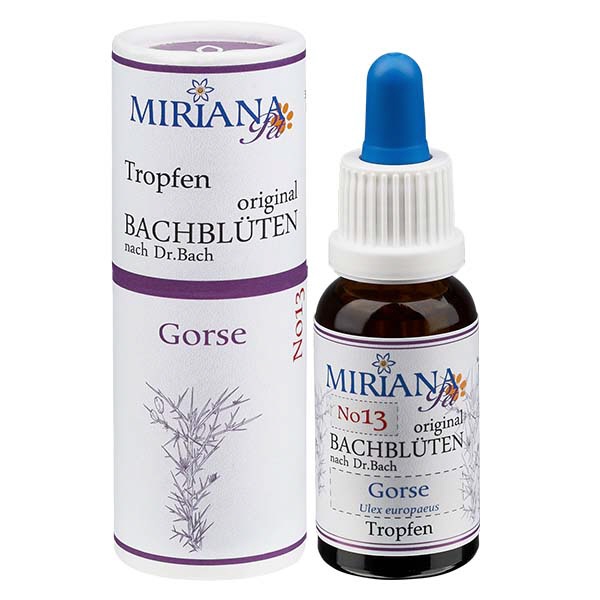 13 Gorse 20ml Stockbottle MirianaPet