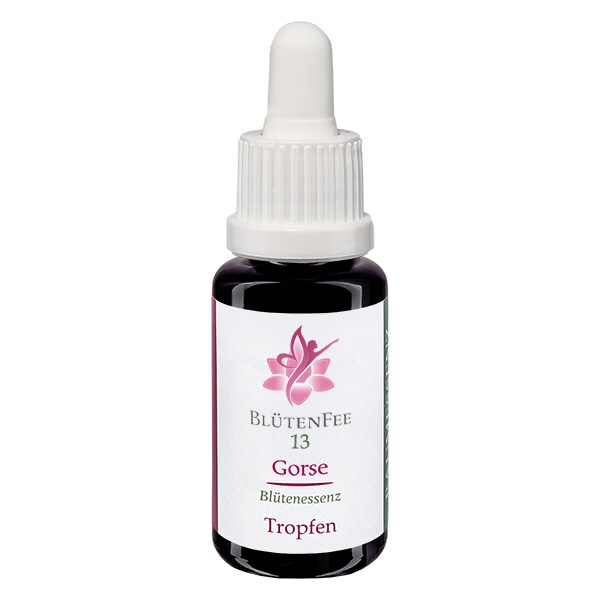 13 Gorse Bltenessenz 20ml Bltenfee