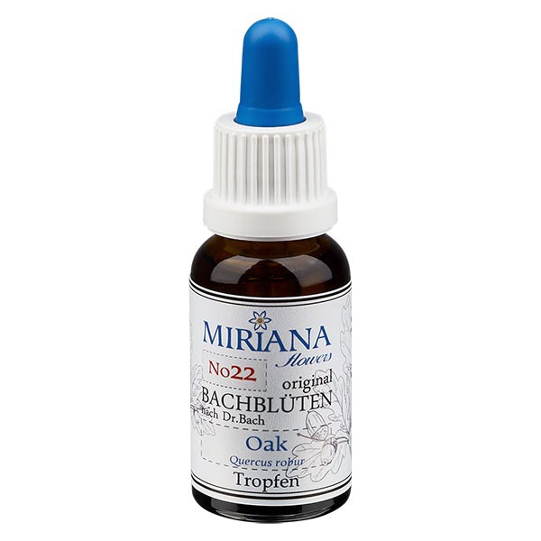 22 Oak 30ml Stockbottle MF- unter Bachblueten > Bachbluetenstockbottles > Mirianaflowers30ml
