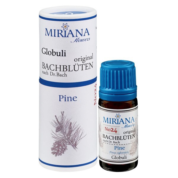 24 Pine 10g Bach-Globuli MF-