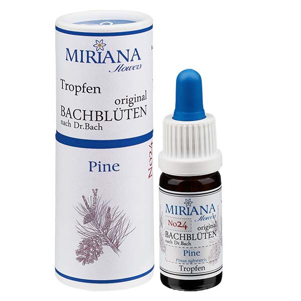 24 Pine 10ml Stockbottle MF-