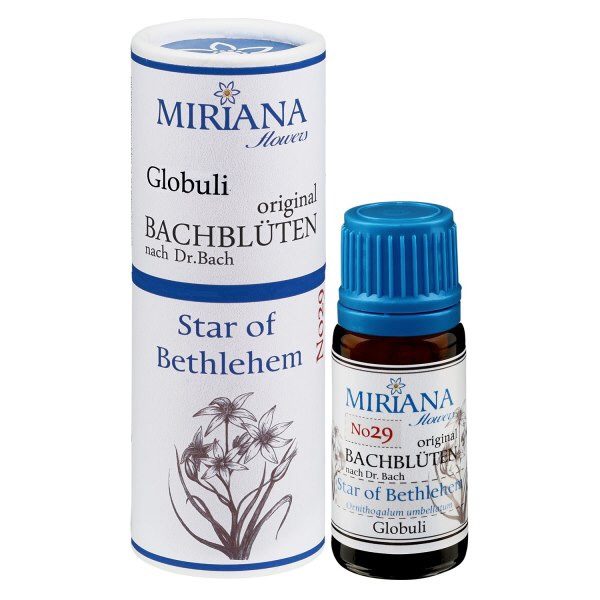 29 Star of Bethlehem 10g Bach-Globuli MF-