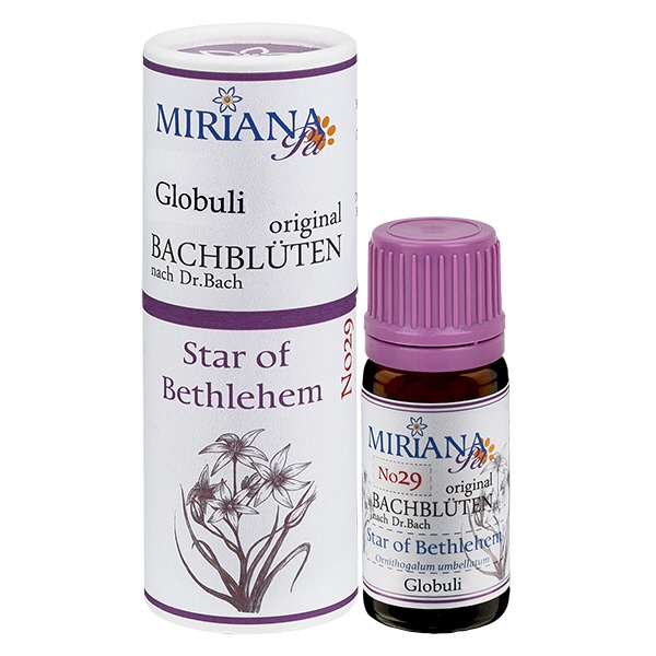 29 Star of Bethlehem 10g Tier-Bach-Globuli MP-