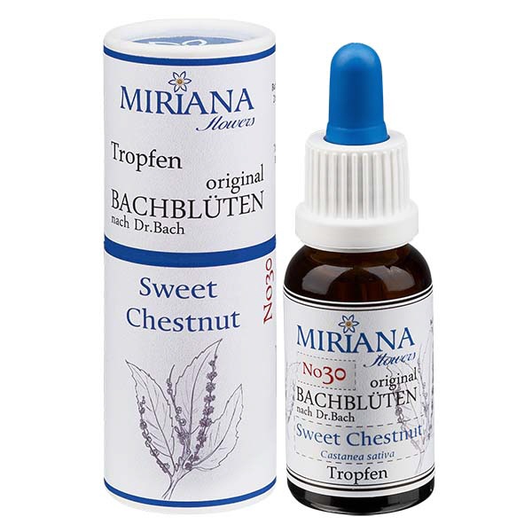 30 Sweet Chestnut 20ml Stockbottle MF- unter Bachblueten > Bachbluetenstockbottles > Mirianaflowers20ml