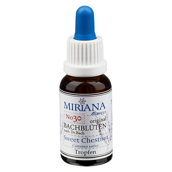 30 Sweet Chestnut 30ml Stockbottle MF-
