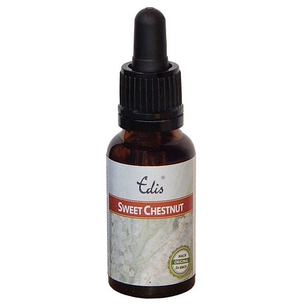 30 Sweet Chestnut alc- 20ml (Edis Bio)