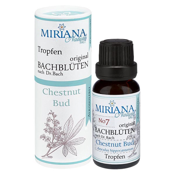 7 Chestnut Bud alkoholfrei 20ml Miriana Nature