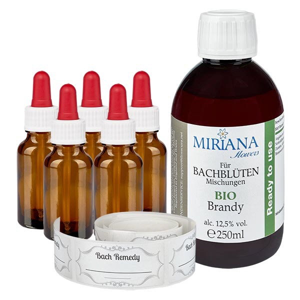 Komplettset 1B mit BIO Brandy zur Mischungsherst-