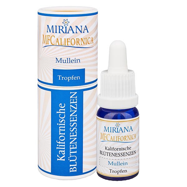Mullein - Kleinbltige Knigskerze MFCalif- 10ml