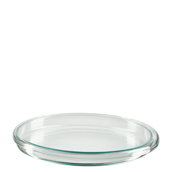 Petrischale 100x10mm Glas
