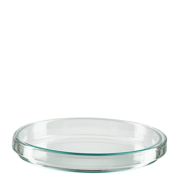 Petrischale 100x15mm Glas