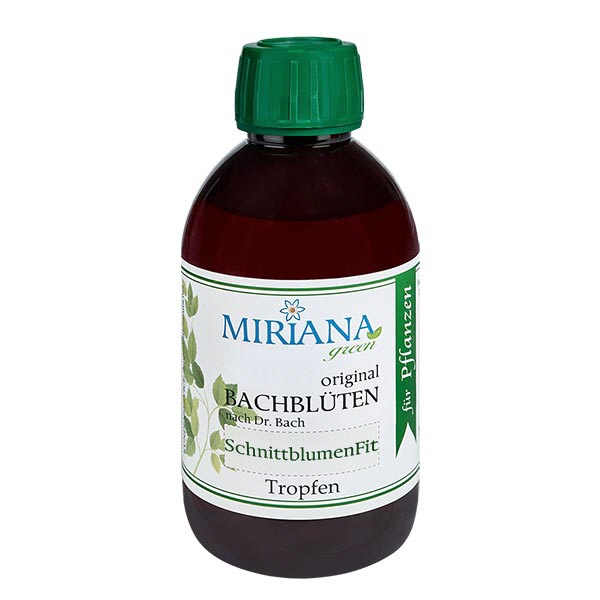 SchnittblumenFit - Miriana Green 250ml